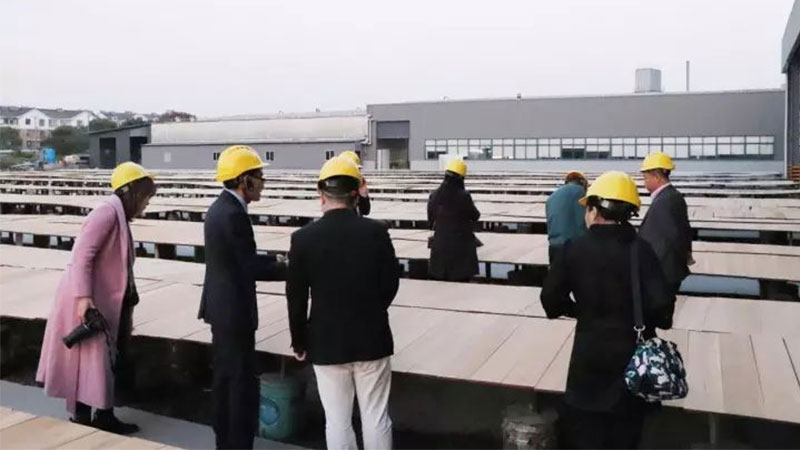 1723527236247942LmDG.jpg 未標題-2.jpg